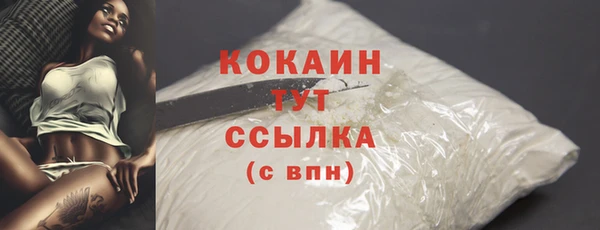 гидра Арсеньев