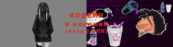 гидра Арсеньев