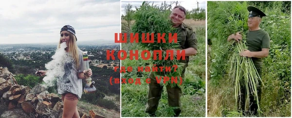 СК Аркадак