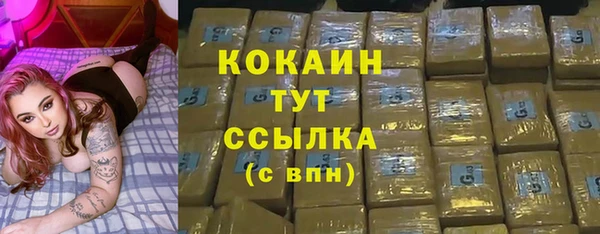 СК Аркадак