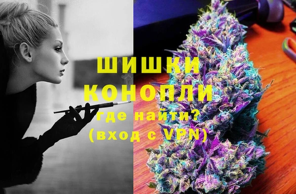 гидра Арсеньев