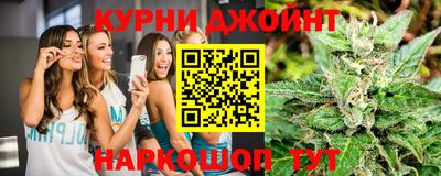 амф Гусев