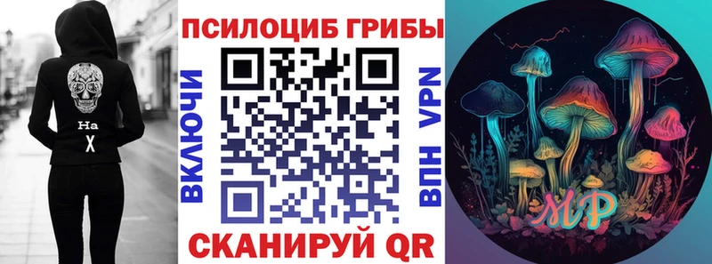где можно купить наркотик Нефтекамск Псилоцибиновые грибы GOLDEN TEACHER