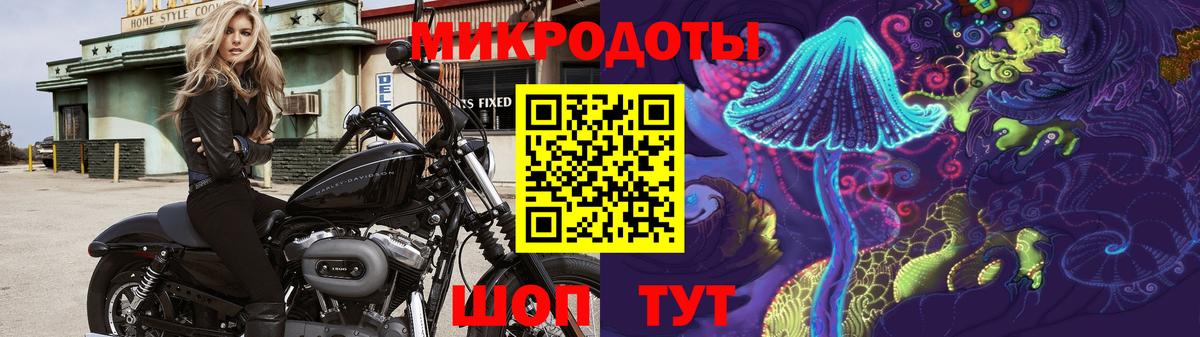 Галлюциногенные грибы Psilocybine cubensis Нефтекамск